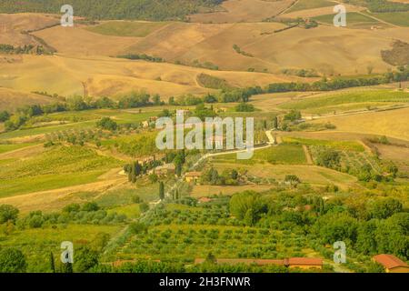Vacanze di viaggio nelle terrazze vigneto. Paesaggio panoramico a Montepulciano città della Toscana in Italia. Famoso per il Rosso di Montepulciano. Foto Stock