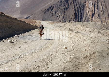 Kagbeni, distretto di Mustang, Nepal - 19 novembre 2016: Cavaliere nepalese su un cavallo corre lungo una strada nell'Himalaya. Muktinath Sadak Foto Stock