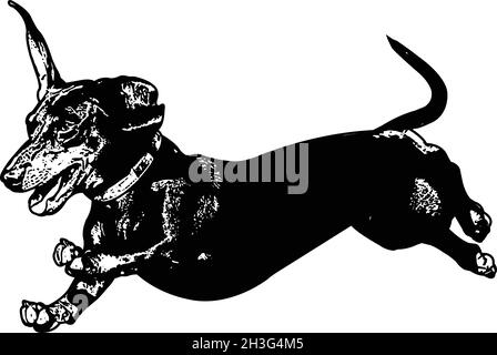 dachshund esecuzione illustrazione dello schizzo - vettore Illustrazione Vettoriale