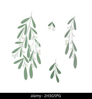 Mistletoe pianta ramo tradizionale decorazione di Natale, festa inverno vacanza decorazione floreale, ornamento per biglietti d'auguri, inviti, buon Natale e felice anno nuovo modello, clipart, adesivo Illustrazione Vettoriale