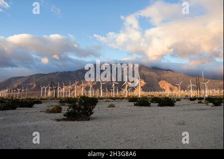 Turbine eoliche che generano energia elettrica nella contea di Riverside, California Foto Stock