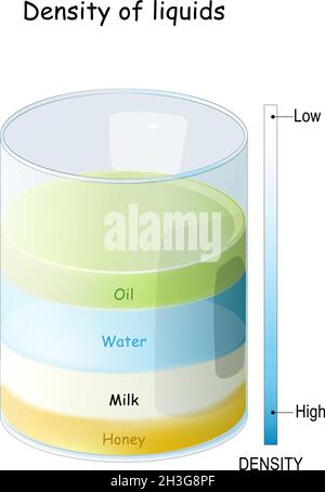 Densità di liquidi da Miele e latte ad alta densità ad acqua e olio a bassa densità. Un cilindro di vetro contenente vari liquidi colorati Illustrazione Vettoriale