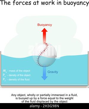 Le forze al lavoro in galleggiamento. Gravità e galleggiabilità. Il principio di Archimede. Sfera che galleggia in un vetro. Sperimenta in lezione di fisica. Qualsiasi oggetto Illustrazione Vettoriale