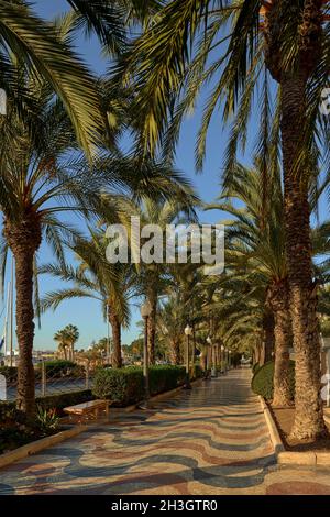 Alacant, la Explanada de España ad Alicante, Spagna con il suo design ondulato Foto Stock