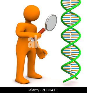 DNA del manichino Foto Stock