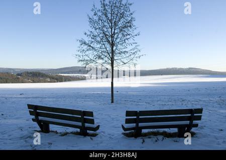 Paesaggio invernale, Taunus Foto Stock