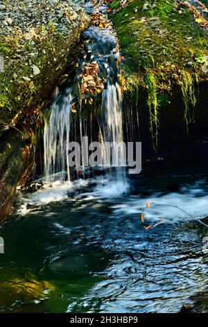 Una piccola cascata sul Mill Brook a Waterford New Brunswick Foto Stock