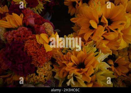 Grappoli di fiori stagionali di fine estate, venduti dagli agricoltori al mercato verde di Union Square a New York City. Foto Stock