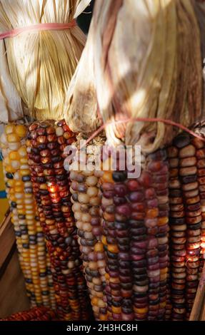 Abbondanza di prodotti freschi e coltivati localmente offerti dagli agricoltori a Union Square Market a New York City. Foto Stock