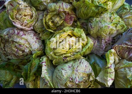 Abbondanza di prodotti freschi e coltivati localmente offerti dagli agricoltori a Union Square Market a New York City. Foto Stock