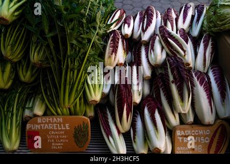 Attrezzo taglia puntarelle, tipicamente italiana di cicoria. square,  isolato su bianco Foto stock - Alamy