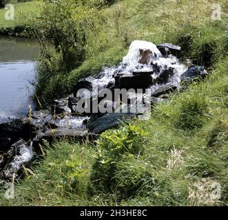 Sorgente di acqua Foto Stock