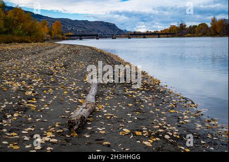 Vista di un tronco in un parco in autunno a Kamloops lungo il South Thompson River guardando verso un ponte ferroviario a traliccio nella British Columbia Canada. Foto Stock
