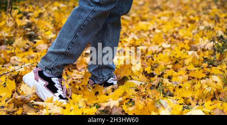 i piedi delle donne nelle sneakers fanno un passo sulle foglie di acero giallo caduto. Foto Stock