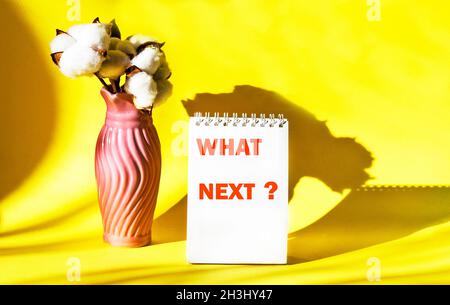 Texte sur what is next concept on yellow background, accanto ad un bouquet di cotone Foto Stock