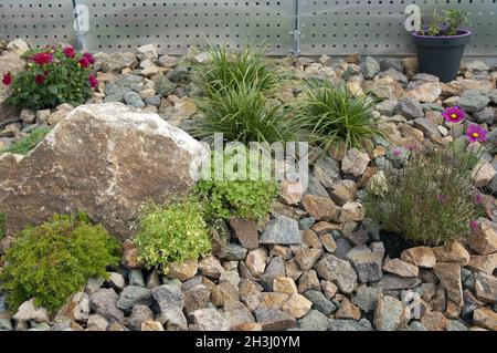 Giardino di roccia, Foto Stock