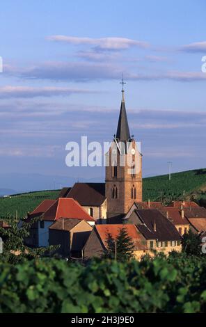 FRANCIA, ALSAZIA, ALTO RENO (68), RODERN, VILLAGGIO, VIGNETO, VISTA GENERALE Foto Stock