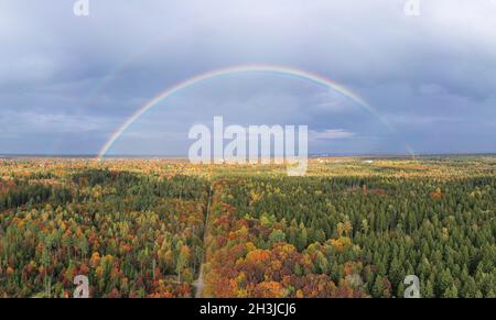 Doppio arcobaleno su una foresta verde e autunno colorato come un concetto per la bellezza della nostra natura nella pioggia caduta saison. Foto Stock
