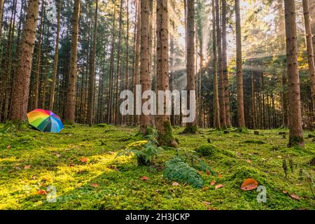 Meraviglioso scenario della foresta autunnale con raggi solari luminosi al foggy bosco con una forma del cuore in una foglia e un ombrello color arcobaleno come concetto per Foto Stock