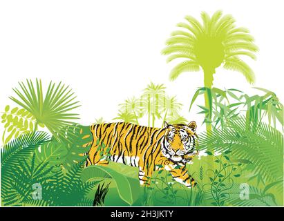 Tigre nella giungla, vettore di illustrazione Illustrazione Vettoriale
