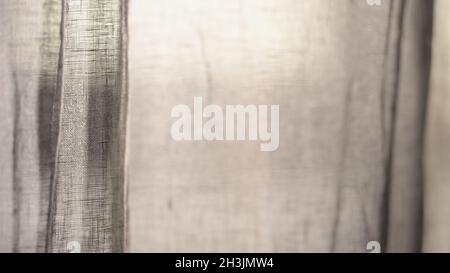 gli shers di lino ondono sul vento con il sole che splende attraverso, foto larga Foto Stock