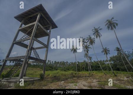 Torre di osservazione con palme sul cielo blu con nuvole Foto Stock