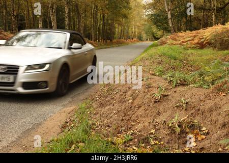 I metodi di prevenzione del parcheggio sono stati aumentati ancora di più sulla tenuta di Sandringham della regina poichè i pali di legno sono stati installati in una delle uniche aree libere di parcheggio lasciate. I posti sono stati posti intorno ad un'area parcheggio che ora consente solo spazio sufficiente per 9 auto, il che significa che lascia i conducenti senza altra opzione se non di parcheggiare nel parcheggio ufficiale. Oltre 1 km di terreni, alti fino a 2 piedi in luoghi, si estendono quasi per tutto il tragitto da Sandringham House alla A149. Sono state erette delle insegne che dicono "No parking on verges, please use official car parks". Il parcheggio ufficiale Sandringham è ora a pagamento Foto Stock