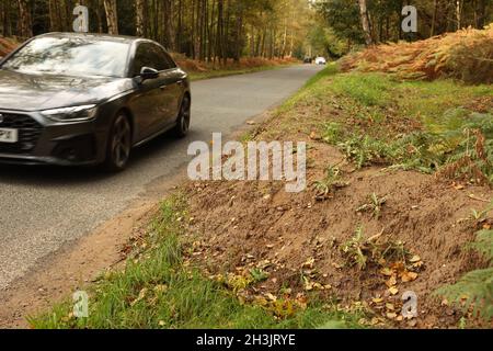 I metodi di prevenzione del parcheggio sono stati aumentati ancora di più sulla tenuta di Sandringham della regina poichè i pali di legno sono stati installati in una delle uniche aree libere di parcheggio lasciate. I posti sono stati posti intorno ad un'area parcheggio che ora consente solo spazio sufficiente per 9 auto, il che significa che lascia i conducenti senza altra opzione se non di parcheggiare nel parcheggio ufficiale. Oltre 1 km di terreni, alti fino a 2 piedi in luoghi, si estendono quasi per tutto il tragitto da Sandringham House alla A149. Sono state erette delle insegne che dicono "No parking on verges, please use official car parks". Il parcheggio ufficiale Sandringham è ora a pagamento Foto Stock