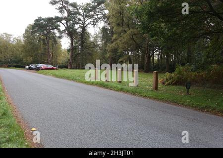 I metodi di prevenzione del parcheggio sono stati aumentati ancora di più sulla tenuta di Sandringham della regina poichè i pali di legno sono stati installati in una delle uniche aree libere di parcheggio lasciate. I posti sono stati posti intorno ad un'area parcheggio che ora consente solo spazio sufficiente per 9 auto, il che significa che lascia i conducenti senza altra opzione se non di parcheggiare nel parcheggio ufficiale. Oltre 1 km di terreni, alti fino a 2 piedi in luoghi, si estendono quasi per tutto il tragitto da Sandringham House alla A149. Sono state erette delle insegne che dicono "No parking on verges, please use official car parks". Il parcheggio ufficiale Sandringham è ora a pagamento Foto Stock