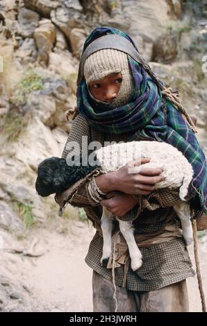 Nepal, regione del Dolpo, valle del tarap, pastore da gruppo etnico magar.kid Foto Stock