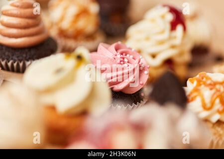 Un sacco di piccoli cupcake con decorazioni e condimenti in una pasticceria Foto Stock