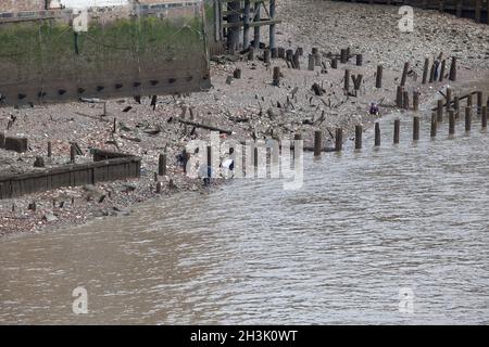 Londra, UK, 23 ottobre 2021: Un gruppo di persone che si fangolano sulle rive del Tamigi, vicino alla cattedrale di St Paul e al ponte pedonale Millenium. Di recente si è registrato un aumento dell'interesse per l'inganno, in parte a causa della condivisione di ritrovamenti sui social media, ma è necessaria una licenza per mullare sulle rive del Tamigi e tutti i reperti importanti devono essere segnalati. Sabato 30 ottobre la Cattedrale di Southwark, sulla sponda opposta del Tamigi, ospita una giornata di fanglaratura. Anna Watson/Alamy Live News Foto Stock