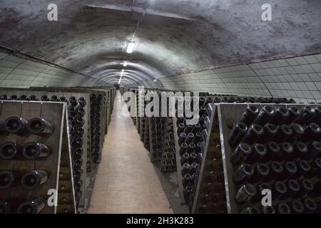 Sparkling wine glass bottles fermenting in winery cellar Stock Photo