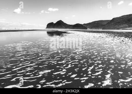 Regione di Auckland, Nuova Zelanda. Zona intertidale a te Henga-Bethells Foto Stock