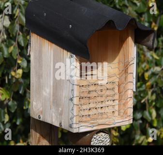 Insektenhotels dienen Insekten, vor allem Wildbienen, alls Unterschlupf und Brutstaette. Gli alberghi per insetti servono insetti, specialmente api selvatiche, come rifugio Foto Stock