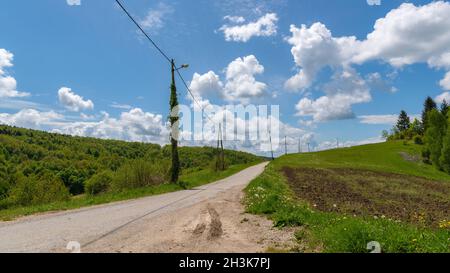 Una strada che passa attraverso un paesaggio collinare con illuminazione pubblica sovracresciuta di edera Foto Stock