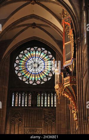 FRANCIA. BAS RHIN (67) STRASBURGO. CATTEDRALE DI NOTRE DAME. VETRATE DEL XIII SECOLO E ORGANO IN NIDO D'INGHIOTTITA Foto Stock