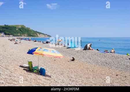 Seaton Devon molte persone sulla spiaggia di ciottoli a Seaton Devon Inghilterra Regno Unito GB Europa Foto Stock