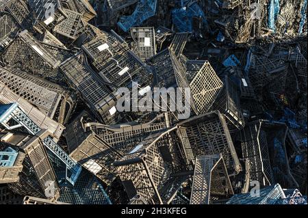 Scatole in plastica pressate pronte per il riciclaggio. Foto Stock