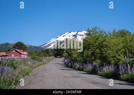 DI NUOVO SULLA STRADA Foto Stock