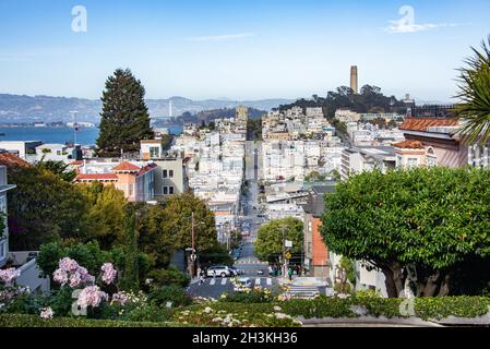 Lombard Street, San Francisco, California, U.S.A Foto Stock