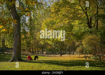 Herbst, Volkspark Wilmersdorf, Charlottenburg-Wilmersdorf, Berlino, Germania Foto Stock