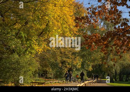 Herbst, Volkspark Wilmersdorf, Charlottenburg-Wilmersdorf, Berlino, Germania Foto Stock