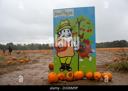 Cookham, Berkshire, Regno Unito. 29 ottobre 2021. Nonostante la pioggia e il vento, i bambini e le loro famiglie stavano godendo le vacanze scolastiche preparandosi per Halloween raccogliendo le zucche coltivate alla fattoria Copas a Cookham, Berkshire. 25,000 zucche sono state coltivate in azienda quest'anno per la prima volta. Credit: Maureen McLean/Alamy Live News Foto Stock