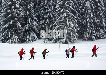 FRANCIA. ALTA SAVOIA (74) INVERNO NELLA VALLE DEL HAUT-GIFFRE, ALTOPIANO DI PRAZ DE LYS Foto Stock