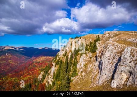 Autunno nel Parco Nazionale di Bula Vanturarita, Monti Carpazi, Romania. Vividi colori autunnali nella foresta. Foglie d'autunno colorate. Verde, giallo, arancione, Foto Stock
