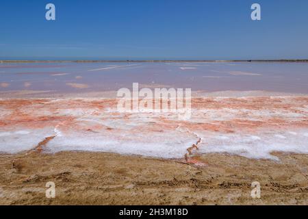 Produzione di sale, il più grande produttore di sale marino solare nell'Africa subsahariana. Walvis Bay, Namibia, Africa Foto Stock