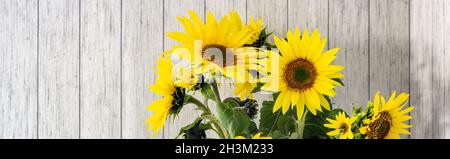 Striscione di un mazzo di girasoli in vaso nero su un rustico tavolo di legno bianco con spazio copia Foto Stock