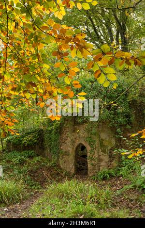 Runins of Mendip Lodge, la casa italiana del 18 ° secolo costruita dal reverendo Dr. Thomas Sedgwick Whalley. Mendip Hills, Upper Langford, North Somerset, Inghilterra. Foto Stock