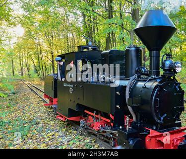 Cottbus, Germania. 29 ottobre 2021. La locomotiva a vapore 'Graf Arnim' del parco ferroviario Cottbus con un calibro di 600 millimetri attraversa il paesaggio autunnale vicino al parco Fürst Pückler a Branitz. Lo stesso giorno, la locomotiva a vapore del 1895 torna ufficialmente sulla pista a scartamento ridotto lunga 3.2 chilometri per la prima volta dopo il suo restauro. La ferrovia del parco di Cottbus è stata fondata nel 1954. Credit: Patrick Pleul/dpa-Zentralbild/ZB/dpa/Alamy Live News Foto Stock